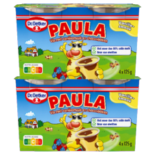Dr. Oetker Paula vanille met chocovlekken